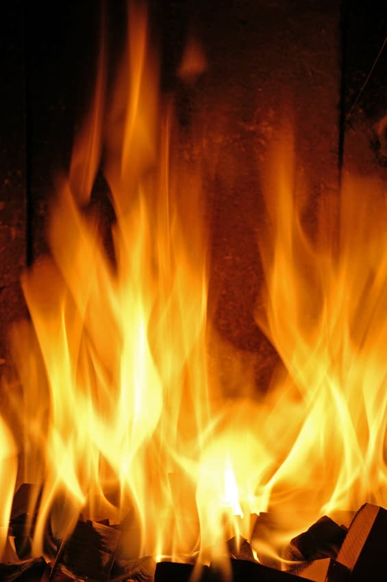 Energieträger Holz: Es wird einfach zu viel verheizt